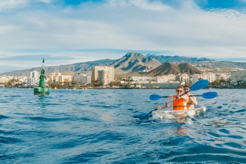 Transparent Kayak Experience in Tenerife South