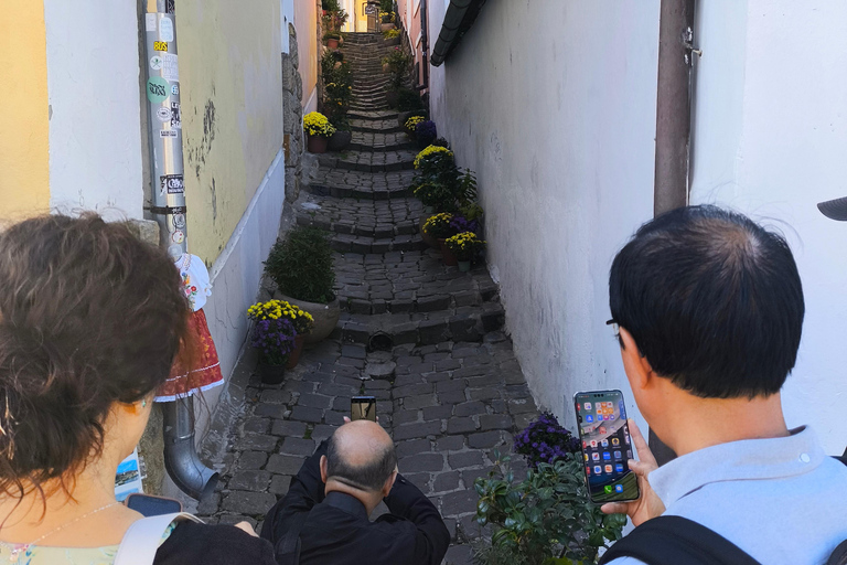 Szentendre, Visegrád and Esztergom Private Danube Bend Tour