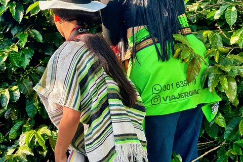 Medellín: Kaffeefarm-Tour – Probiere die Geschichten der SierraSpanisch