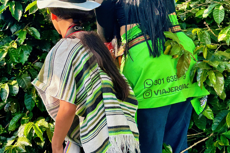 Medellín: Kaffeefarm-Tour – Probiere die Geschichten der SierraSpanisch