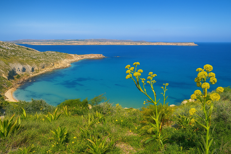 From Sliema: Around Malta Cruise with 3 Swim Stops and Lunch