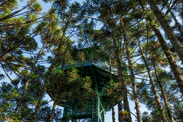 Gramado: Parque do Caracol Entry Ticket Gramado : Parque do Caracol Entry Ticket