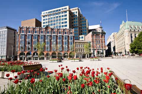 Ottawa: Hop-On Hop-Off Guided City Tour Day Ticket
