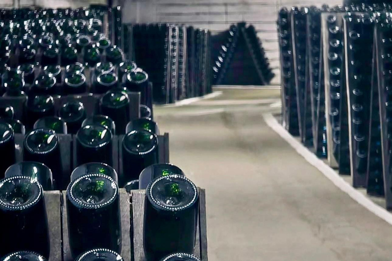 Cricova Winery: Tour and Wine Tasting