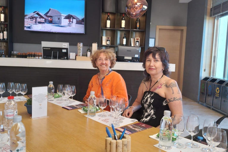 Izmir: Urla Wine Tasting and Vineyard Tour Self Arrival Tasting and Vineyard Tour