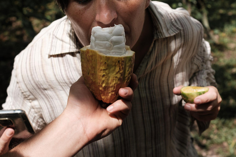 Cacao and Poza del Amor Experience in Tayrona