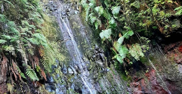 Madeira: 25 Fountains Rabaçal Forest Walk
