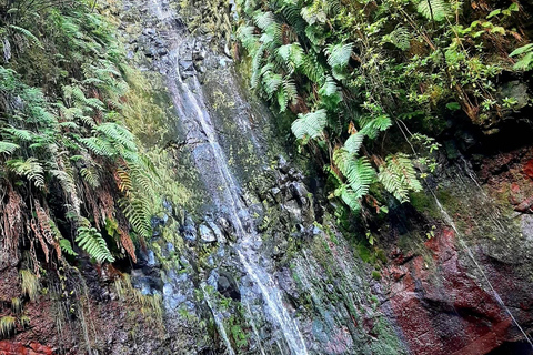 Madeira: 25 Fountains Rabaçal Forest Walk