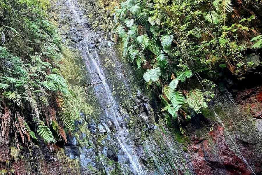 Madeira: 25 Quellen Rabaçal Waldspaziergang. Foto: GetYourGuide