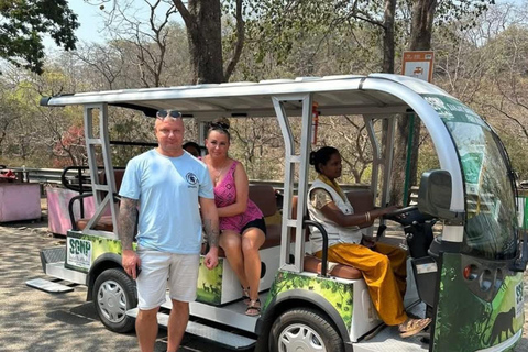 Mumbai: Kanheri Caves, Pagoda & Gorai Beach Tour