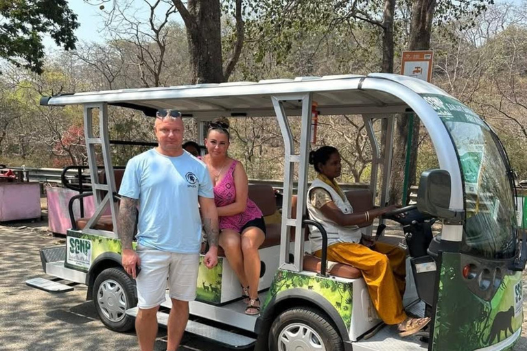 Mumbai: Kanheri Caves, Pagoda & Gorai Beach Tour