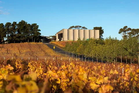 Hobart: Moorilla's Wine + Art at Mona by Boat