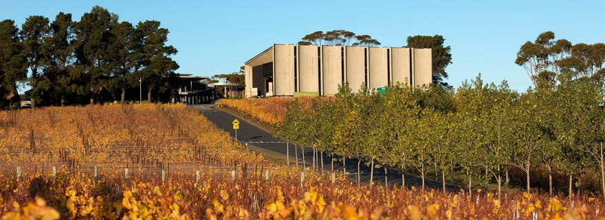 Hobart : Moorilla's Wine + Art à Mona by Boat