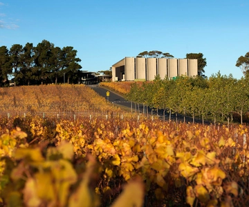 Hobart: Moorilla's Wine + Art at Mona by Boat