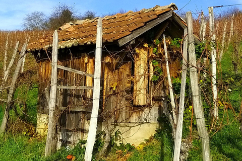 From Basel or Colmar: Baden-Württemberg Pinot Wine Tour