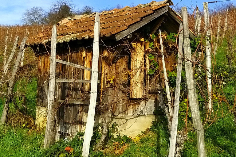 From Basel or Colmar: Baden-Württemberg Pinot Wine Tour