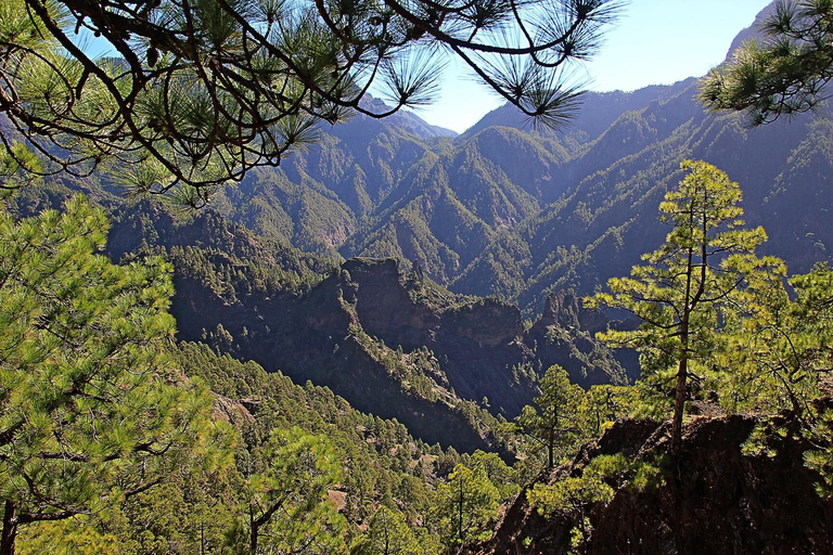 From Tenerife: Tour to the Isla Bonita - La Palma From Tenerife: Tour to the Beautiful Island - La Palma