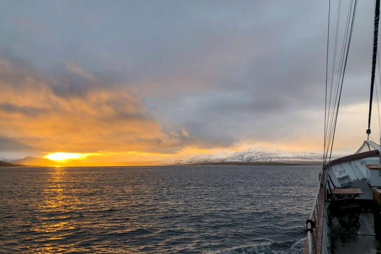 Tromsø : Croisière dans les fjords pour la pêche et les fruits de mer dans l'Arctique à bord d'un yacht de luxeTromsø : Croisière de luxe pour la pêche et les fruits de mer