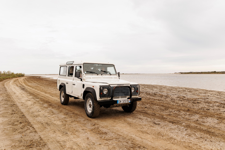 Aigues-Mortes 3H: Discover the secret Camargue in a 4x4 Full-Day
