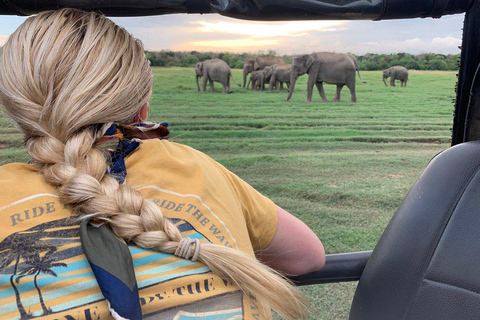 2-Day Galle to Sigiriya Tour with Minneriya Safari