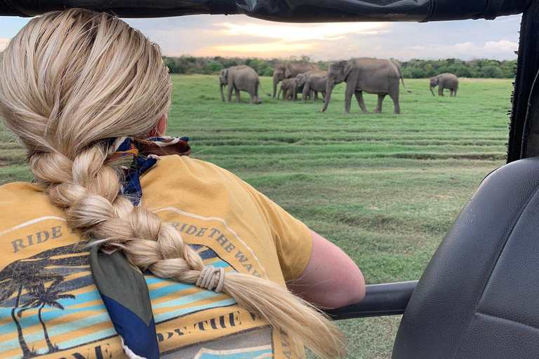 2-Day Galle to Sigiriya Tour with Minneriya Safari