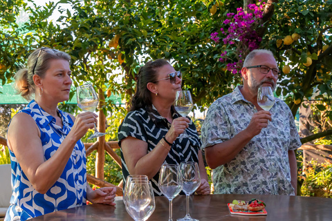 SORRENTO : Dégustation de vins avec vue sur la mer dans une plantation de citronniers