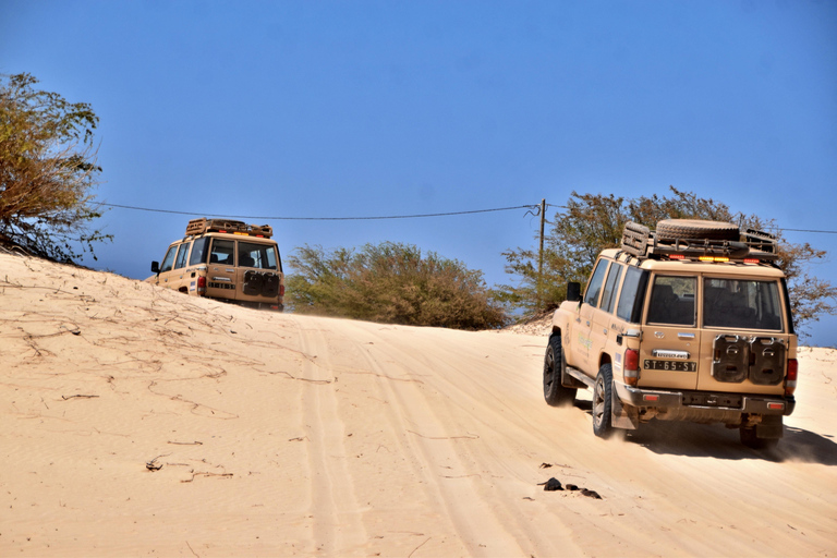 4x4 Boa Vista North Jeep Expedition 4hWyprawa Jeepem 4x4 Boa Vista North 4h