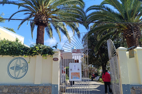 Pablo Neruda Sightseeing Tour: Discover Neruda's Valparaíso and Visit His House Pablo Neruda Sightseeing Tour: Discover Neruda's Valparaíso and visit his house