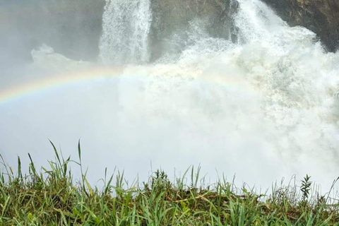 SAFÁRI DE VIDA SELVAGEM DE 9 DIAS EM UGANDA