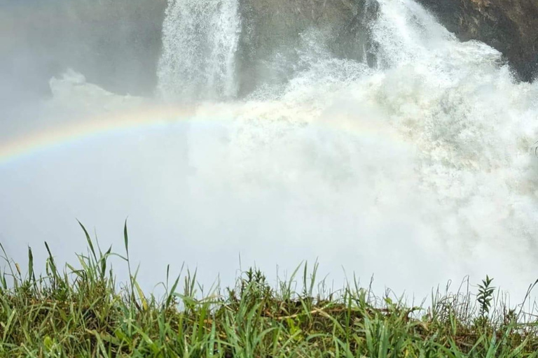 SAFÁRI DE VIDA SELVAGEM DE 9 DIAS EM UGANDA