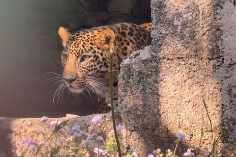 Pokhara:Zoological Park & Lake Suspension Bridge Guided Tour