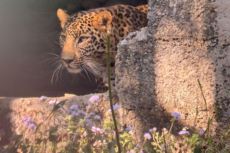 Pokhara:Zoological Park & Lake Suspension Bridge Guided Tour