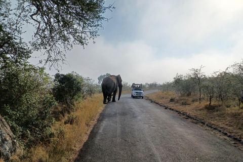 Safari di 3 giorni nel Parco Nazionale Kruger