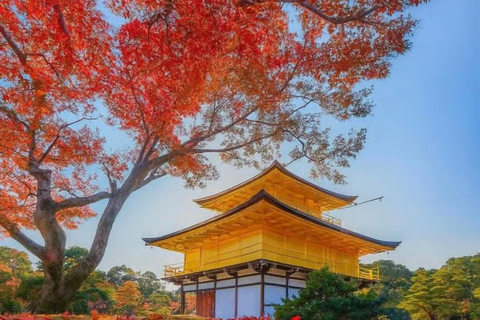 Tokyo: Kyoto & Nara Private Tour with Hotel Pickup