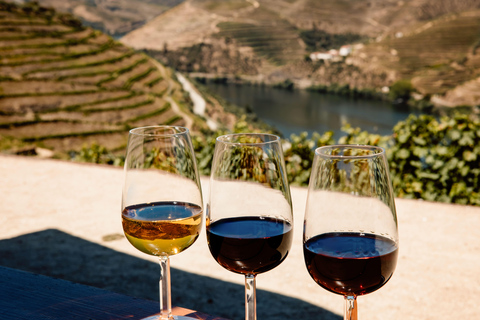 Porto: Douro Valley &amp; Amarante Wine, Food &amp; River Tour