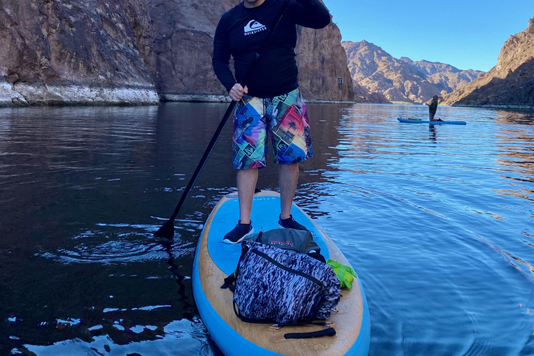 Plage de Willow : Location de paddle board