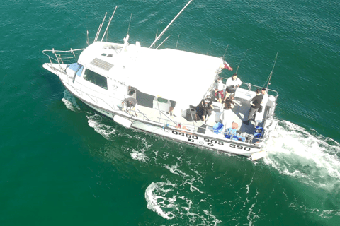 Sydney: 4 Hour Offshore Deep Sea Fishing Charter From Manly