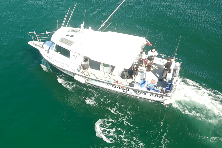 Sydney: 4 Hour Offshore Deep Sea Fishing Charter From Manly