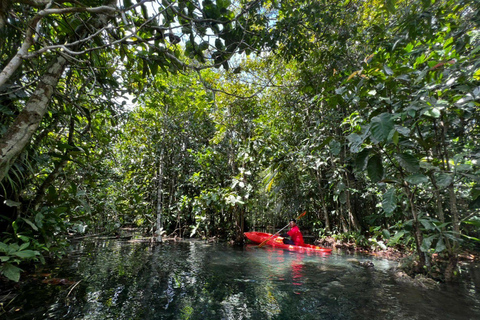 Kajakpaddling i Klong Rud med transfer till hotellet