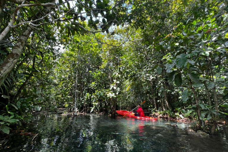 Kajakpaddling i Klong Rud med transfer till hotellet