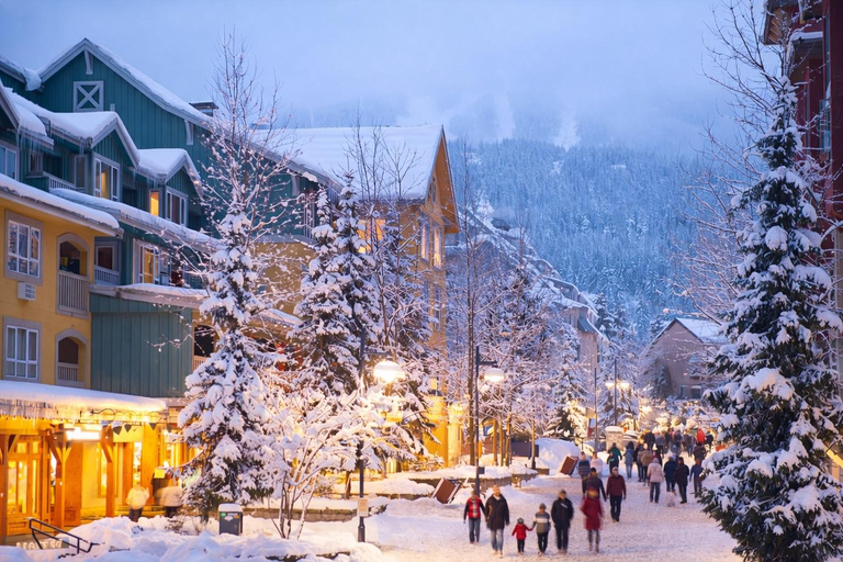 Whistler Small-Group Tour with Shannon Fall & Sea-to-Sky