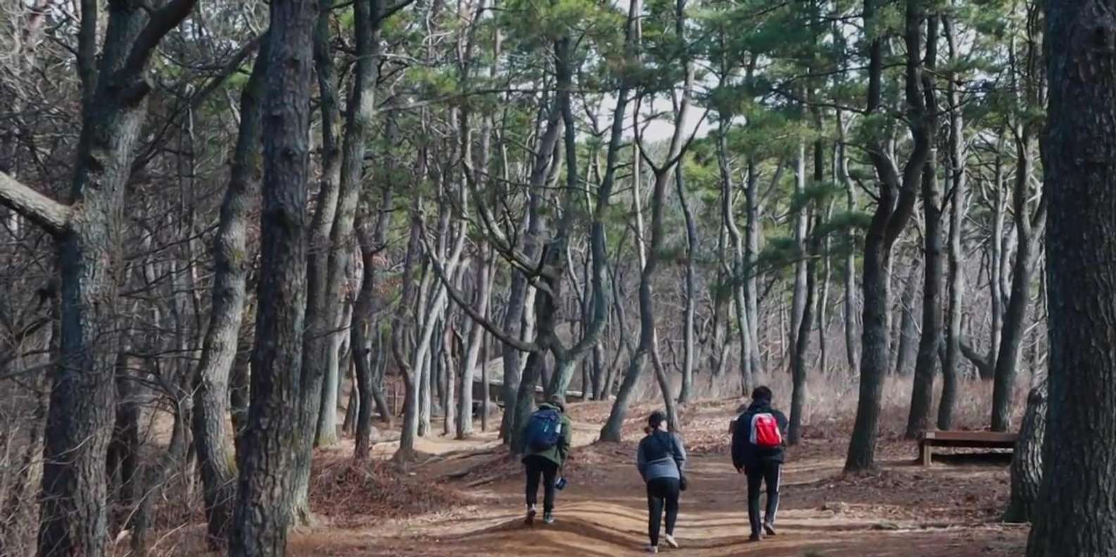 현지인과 함께하는 하이킹 + 막걸리 시음 (800m 숨겨진 산속 마을) 상세 이미지 2