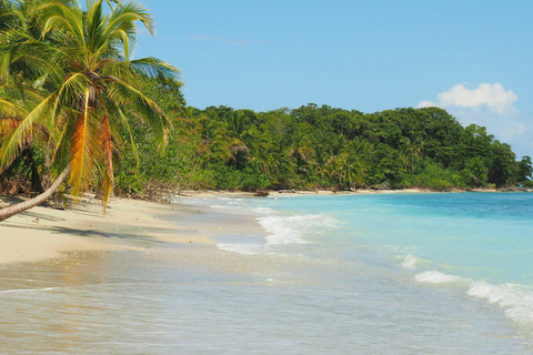 Costa Rica: Guided Hike in Cahuita National Park