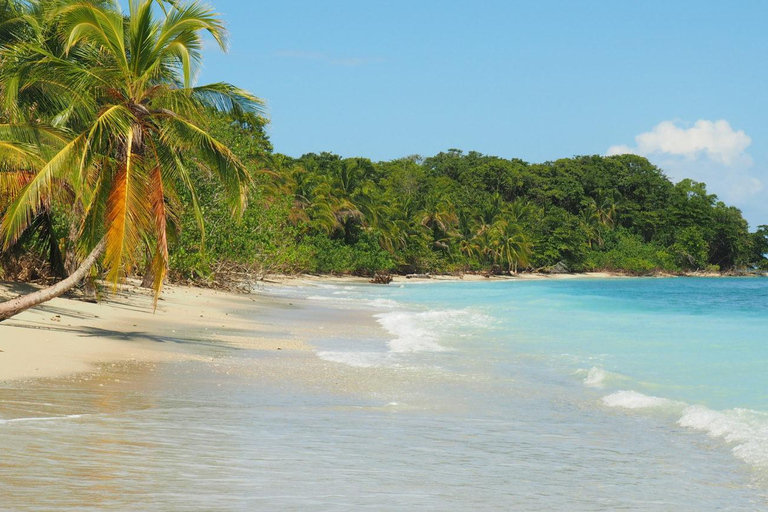 Costa Rica: Guided Hike in Cahuita National Park