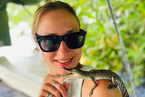 Colombo: Bentota Mangrove River Safari 6-8 Hour Tour