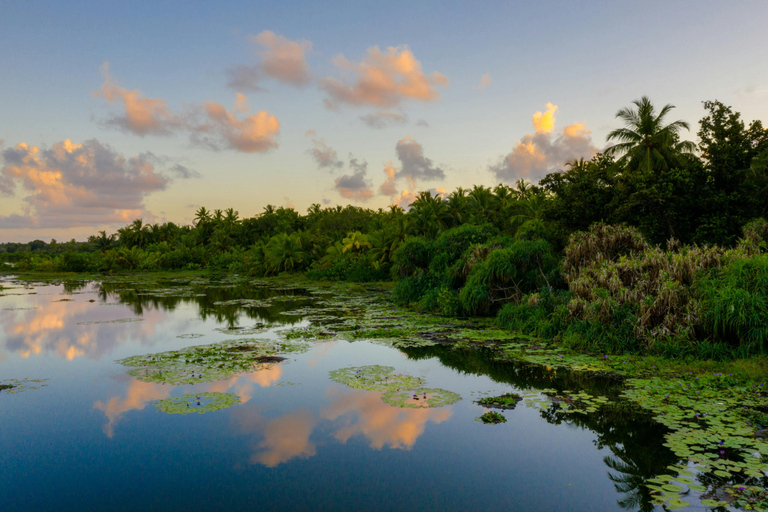 Colombo: 3 Lakes, Wetland, Park, & Lotus Tower Sunset Tour