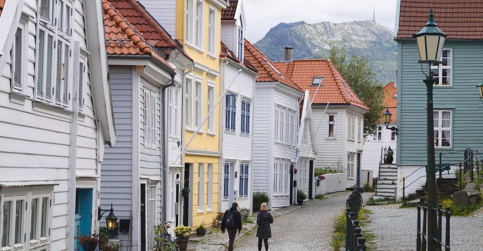 Flåm, Borgund Stave Church, Lærdal, and Stegastein Tour - Housity