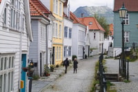 Flåm, Borgund Stave Church, Lærdal y Stegastein Tour - Housity
