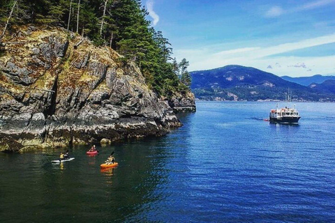 Vancouver : Kayak matinal et croisière pour les phoquesWest Vancouver : Kayak matinal et croisière pour les phoques