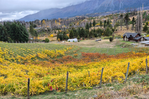 Bolsón Gourmet: Patagonian Wine Pairing. Gourmet Bag: Patagonian Wine Pairing.